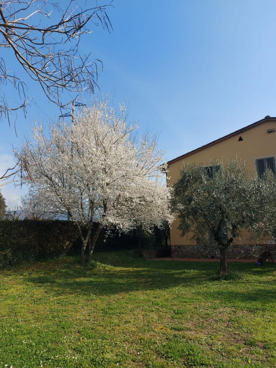 Appartamento Oliver Apartment in Emilia-Romagna