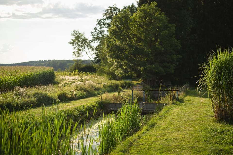 Natural landscape, View (from property/room), Garden view