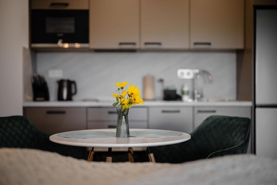 Coffee/tea facilities, Kitchen or kitchenette, Living room, Seating area, Dining area, stove
