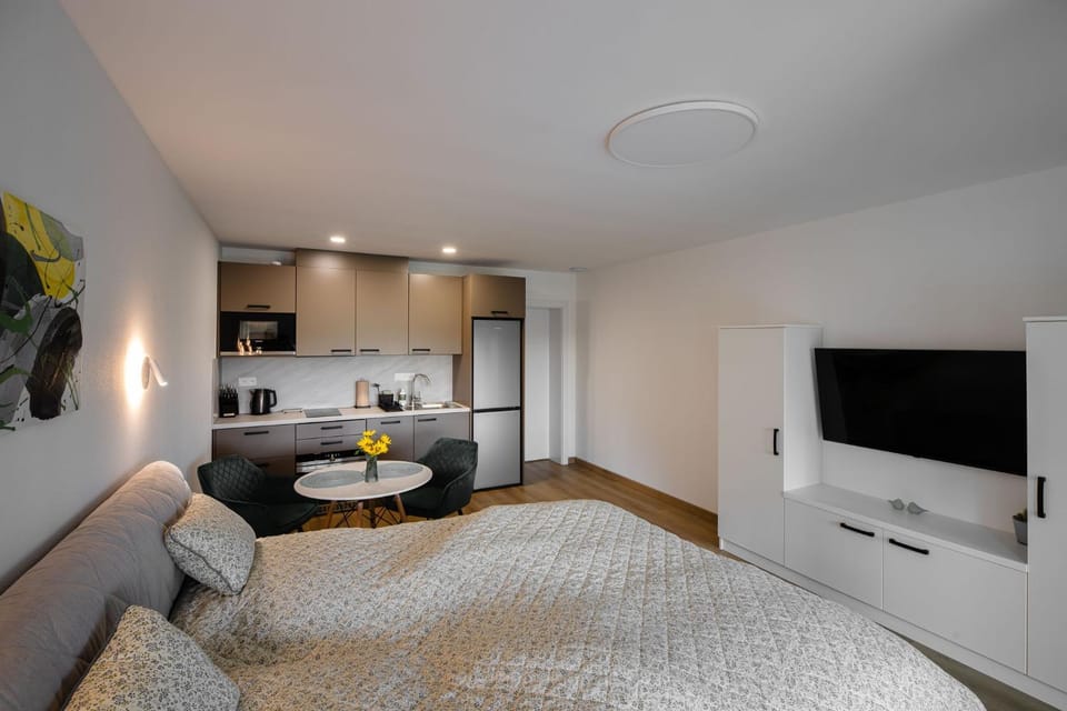 Bed, TV and multimedia, Kitchen or kitchenette, Living room, Photo of the whole room, Seating area, Bedroom, oven