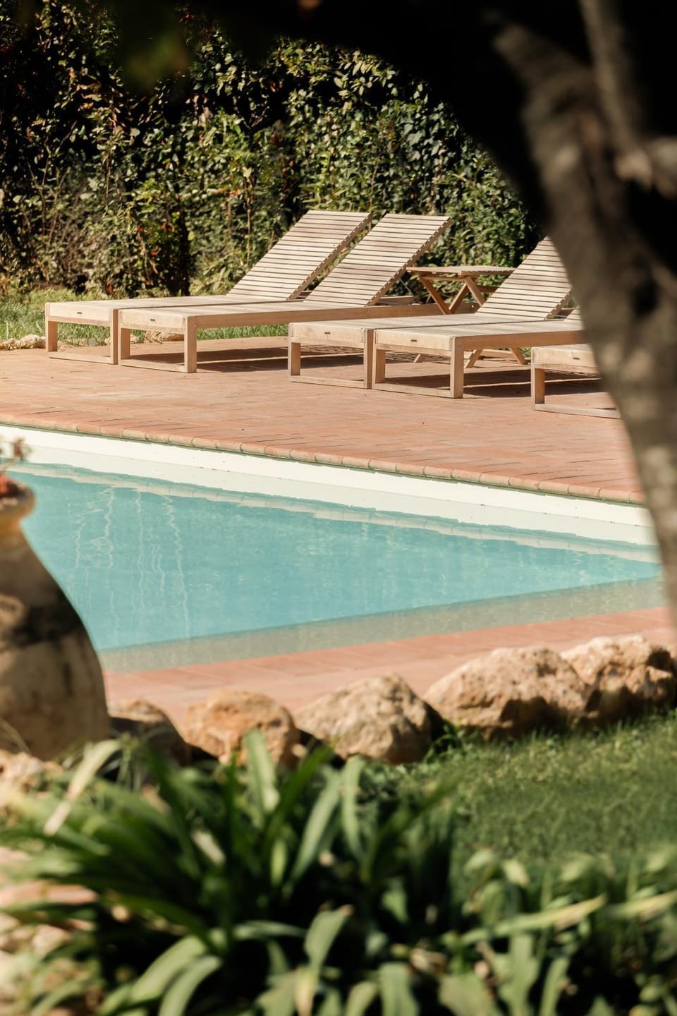 Day, Garden, Pool view, Swimming pool