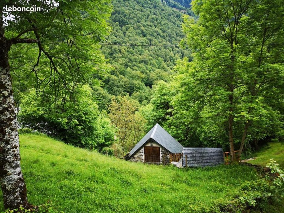 Property building, Natural landscape, Garden, Mountain view