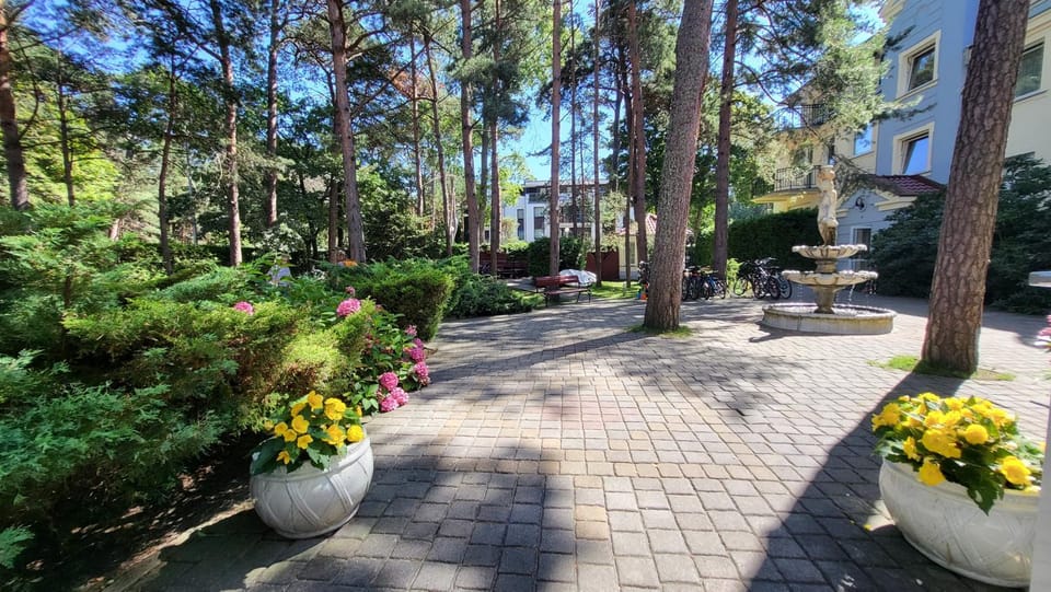 Property building, Garden, Garden view, Inner courtyard view