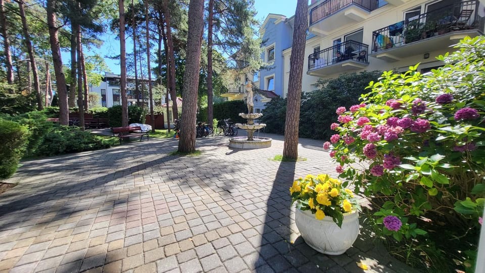 Property building, Garden, Garden view, Inner courtyard view