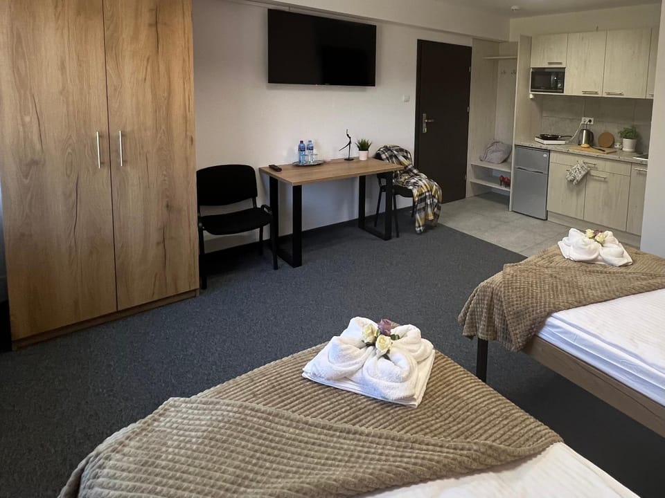 TV and multimedia, Kitchen or kitchenette, Photo of the whole room, towels, wardrobe