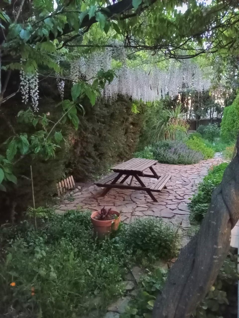Spring, Garden, Garden