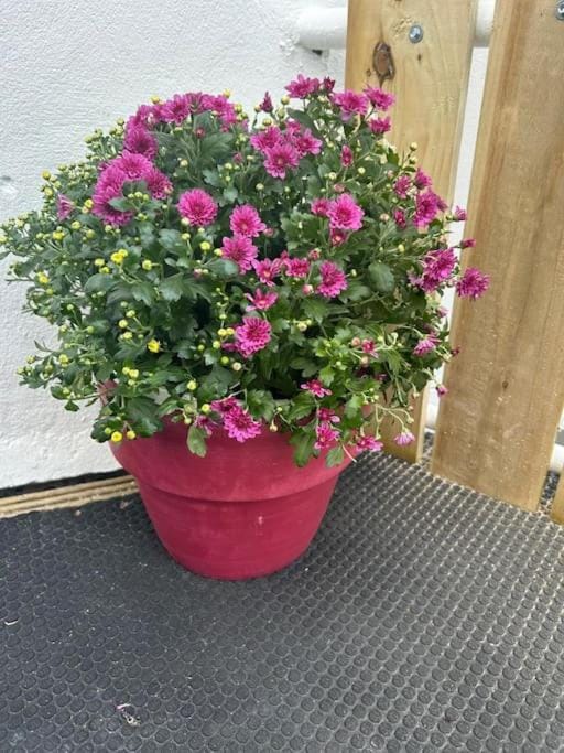 No 12 Bridge Street - Town Centre Apartment Apartment in Westport