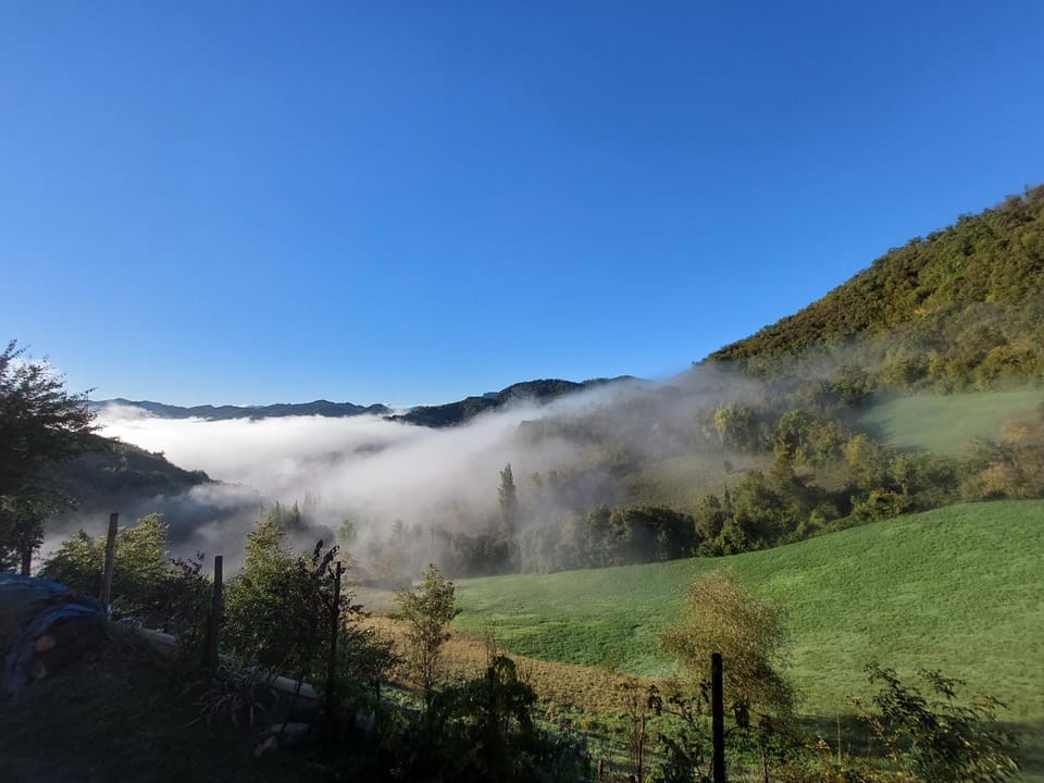 Natural landscape, View (from property/room)