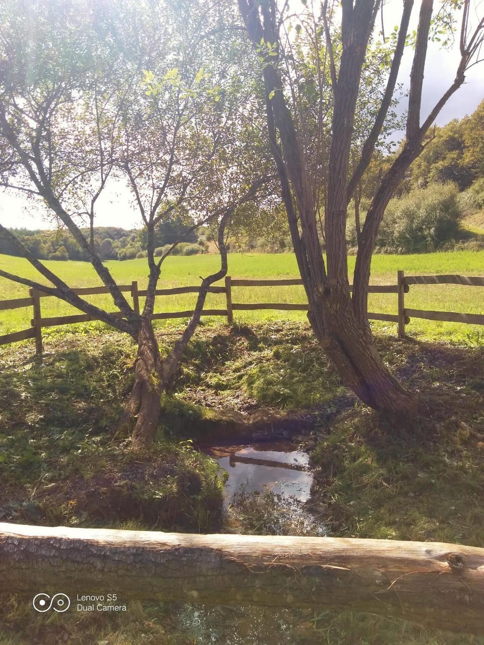 Natural landscape