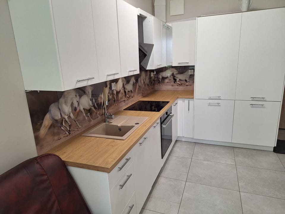 Kitchen or kitchenette, dishwasher, oven, stove