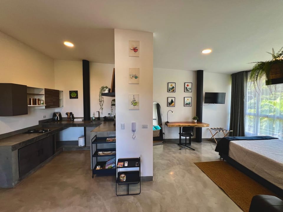 Bed, TV and multimedia, Kitchen or kitchenette, Living room, Photo of the whole room, Bedroom
