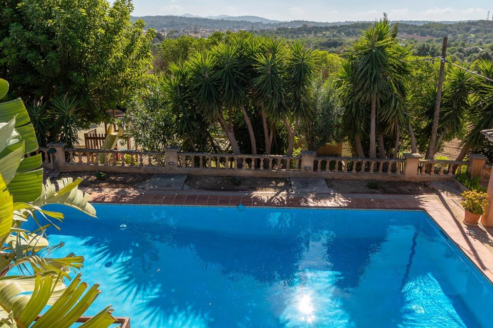 Natural landscape, Garden, Pool view, Swimming pool, Open Air Bath