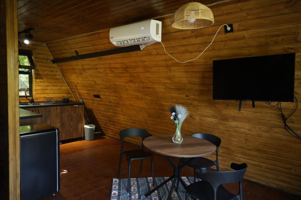 TV and multimedia, Kitchen or kitchenette, Living room, Dining area, air conditioner