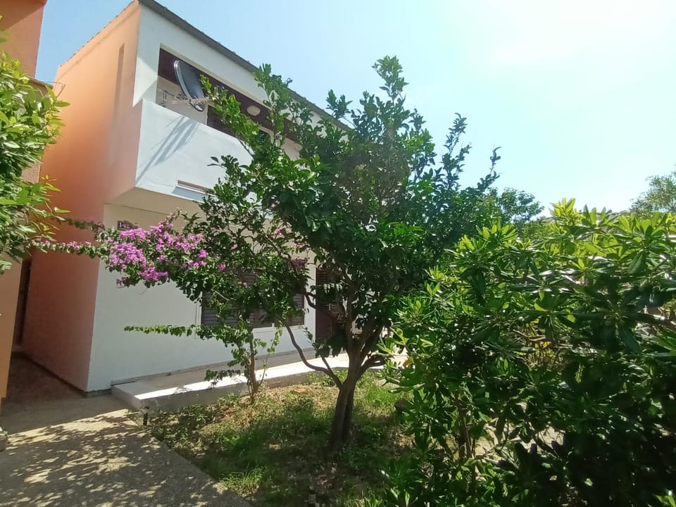 Inner courtyard view