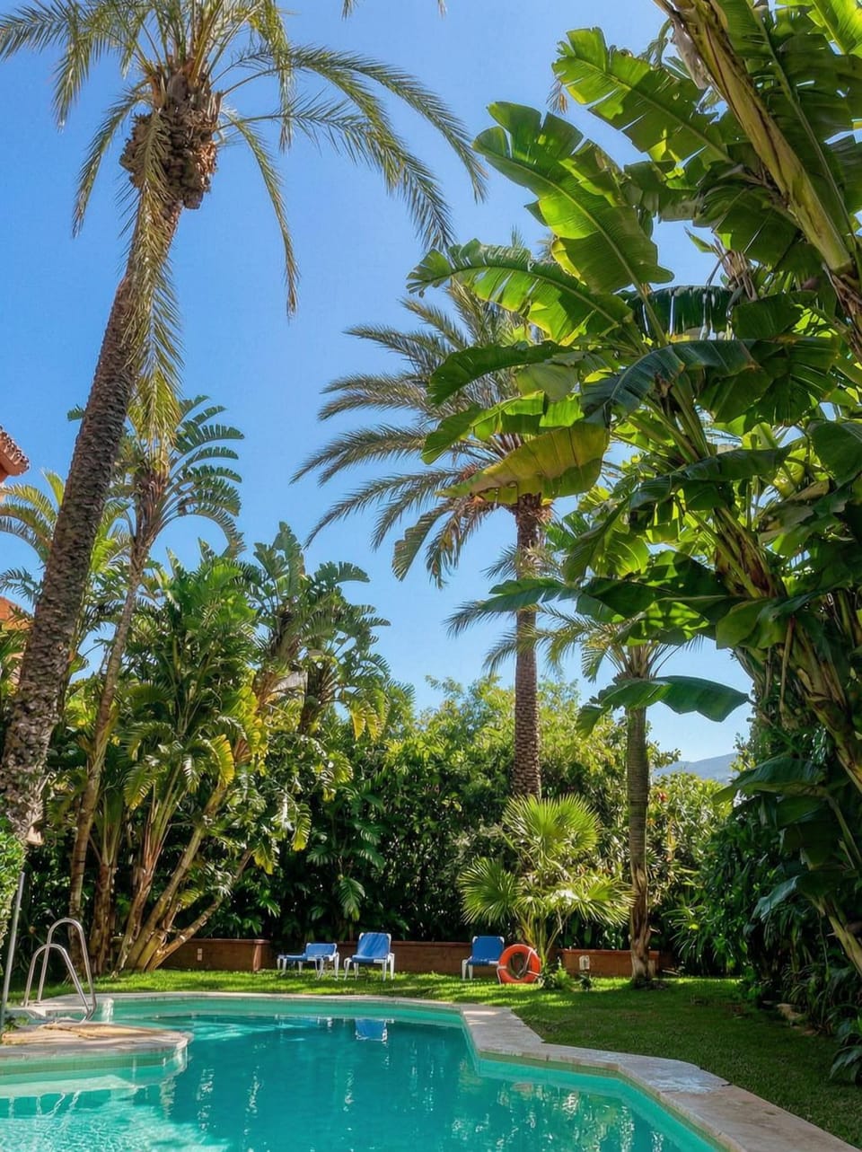 Garden, Swimming pool