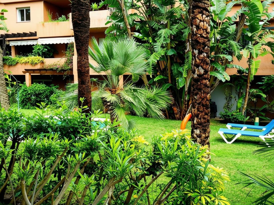 Natural landscape, Garden, Garden view, sunbed