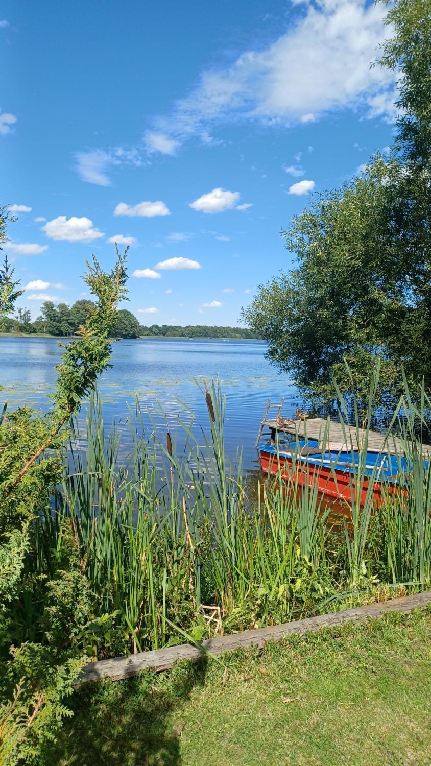 Lake view