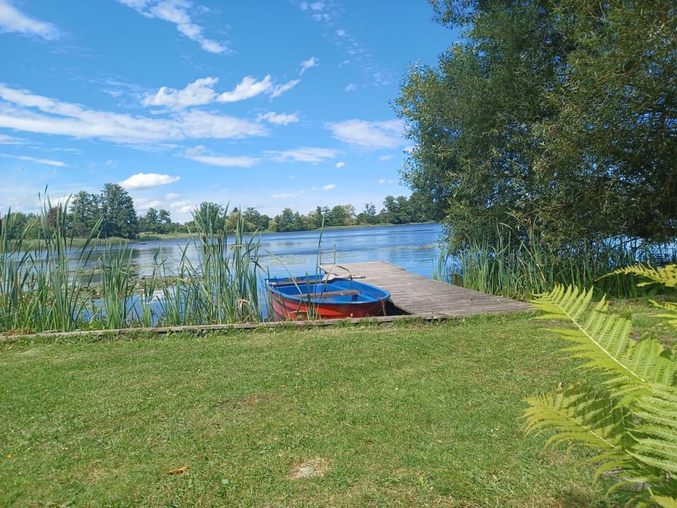 Lake view