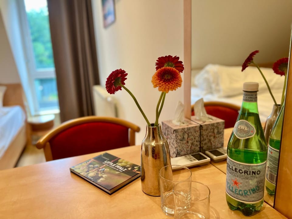 Gästehaus LINH Hotel in Rhineland-Palatinate