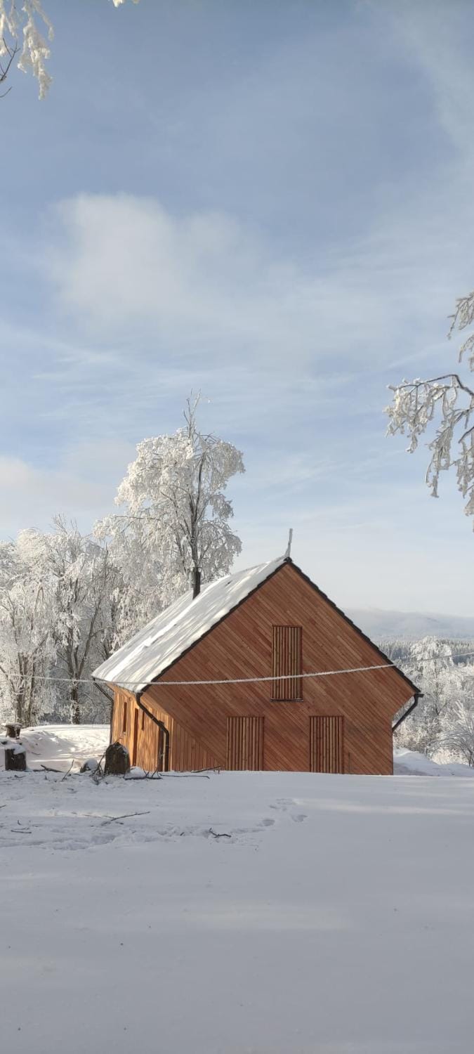 Natural landscape, Winter
