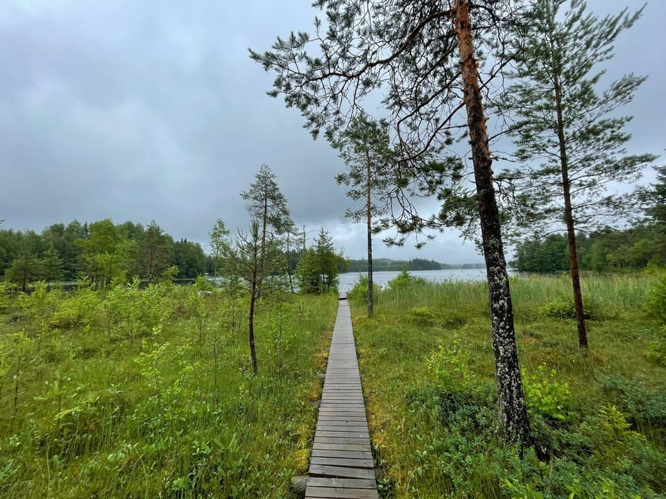 Lake view