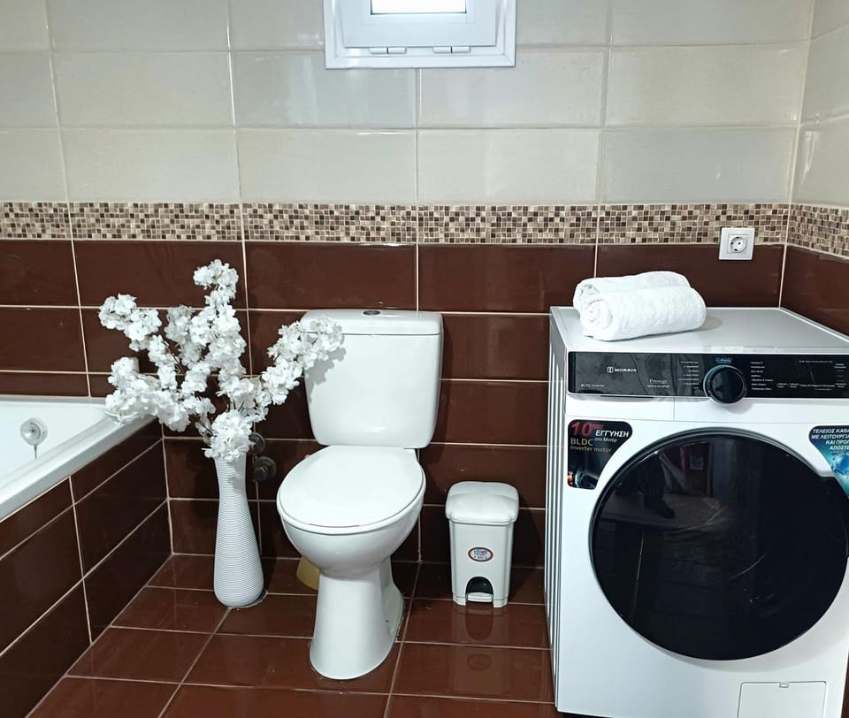 Toilet, Bathroom, washing machine