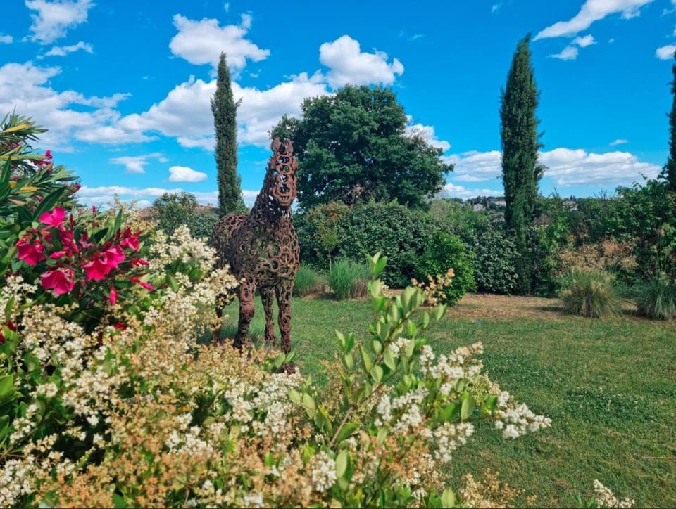 Garden view