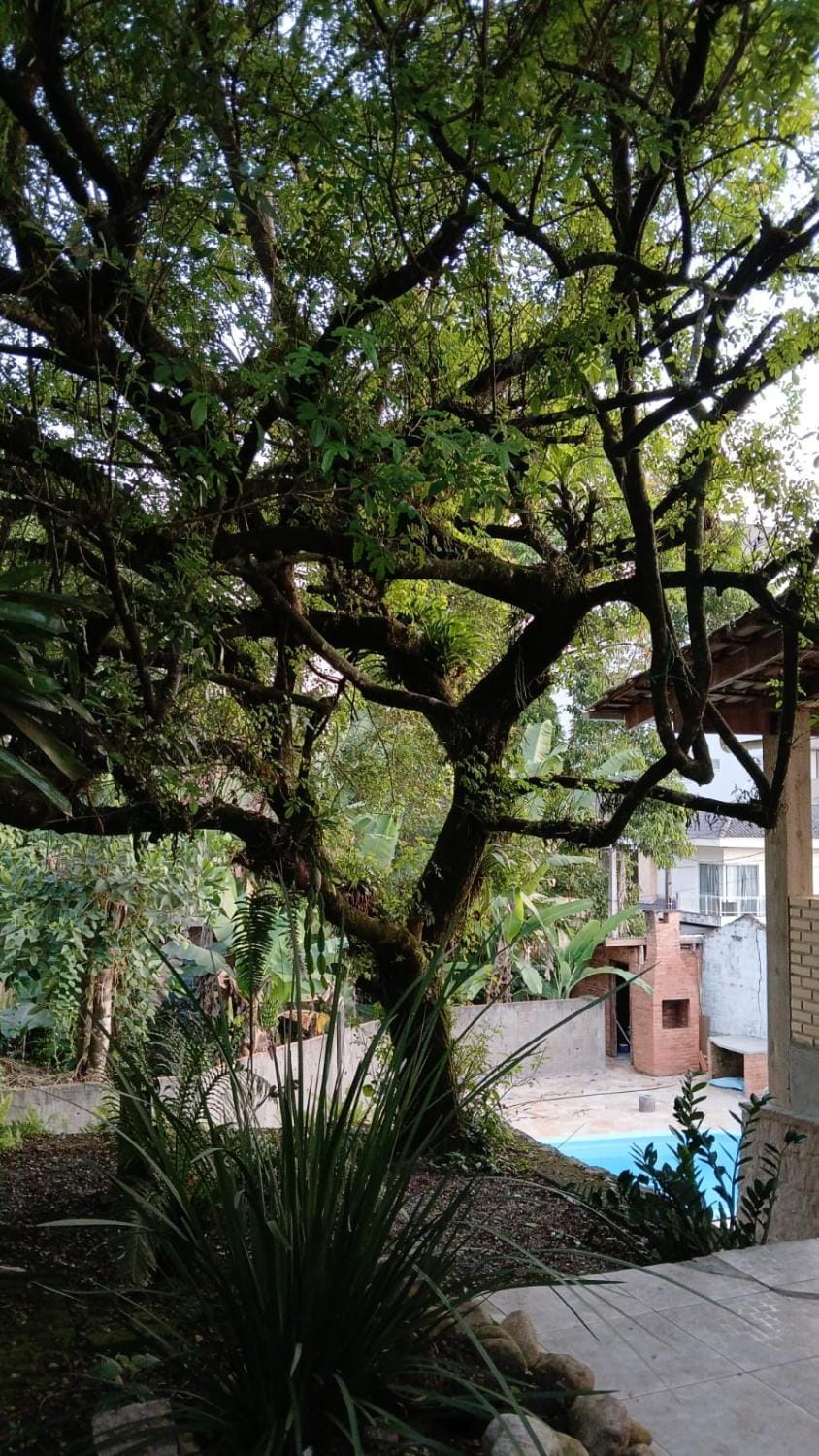 Natural landscape, Garden