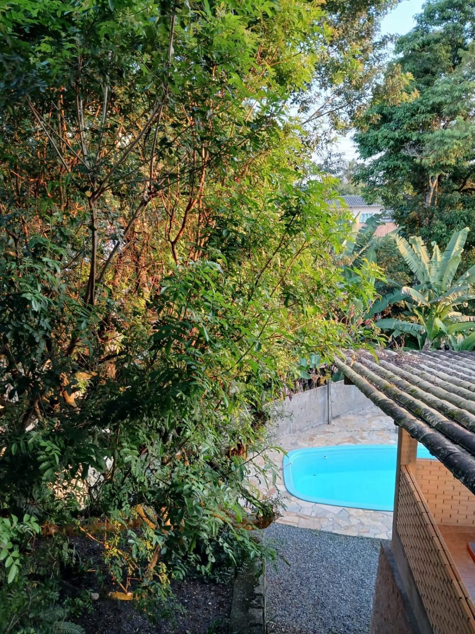 Day, Swimming pool