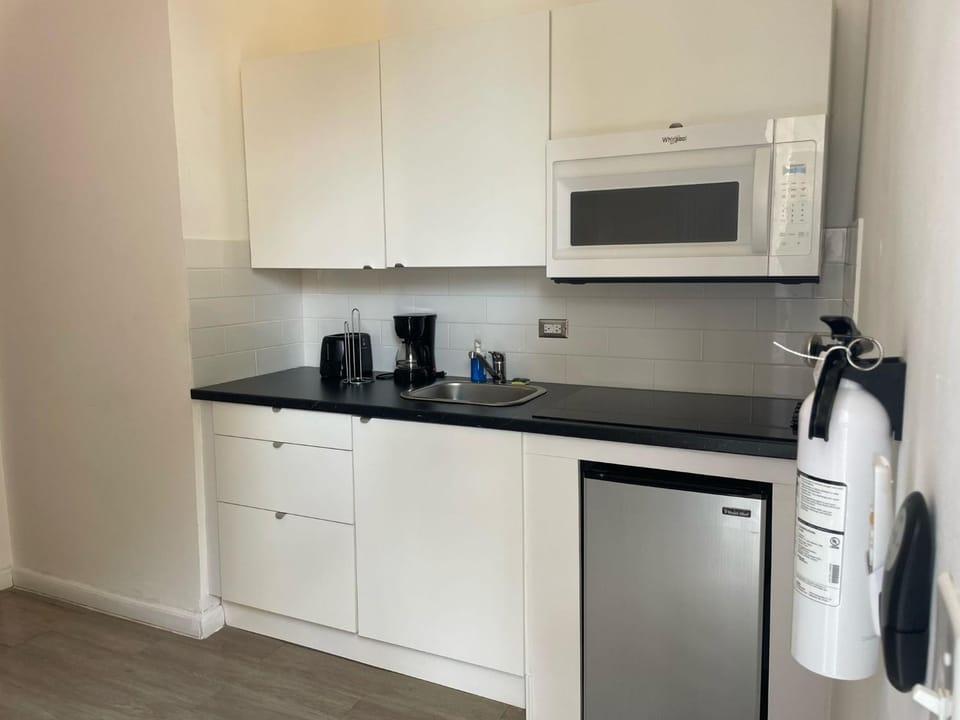 Kitchen or kitchenette, dishwasher, stove, toaster