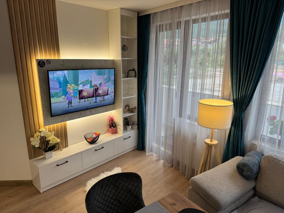 TV and multimedia