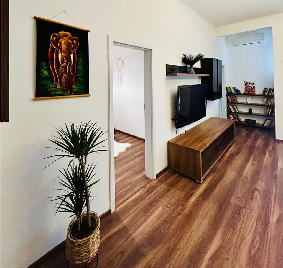 Communal lounge/ TV room, TV and multimedia, Evening entertainment, air conditioner