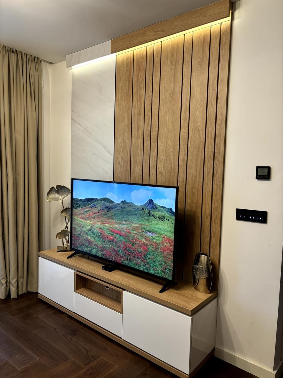 TV and multimedia