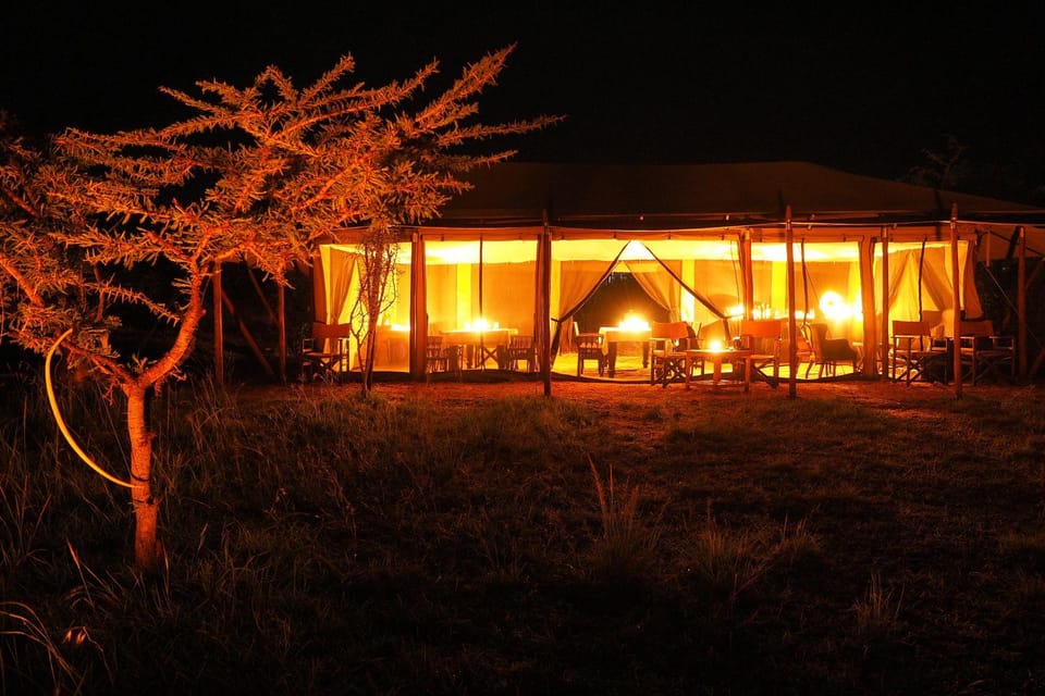 Property building, Restaurant/places to eat, Facade/entrance, Night, View (from property/room), Animals
