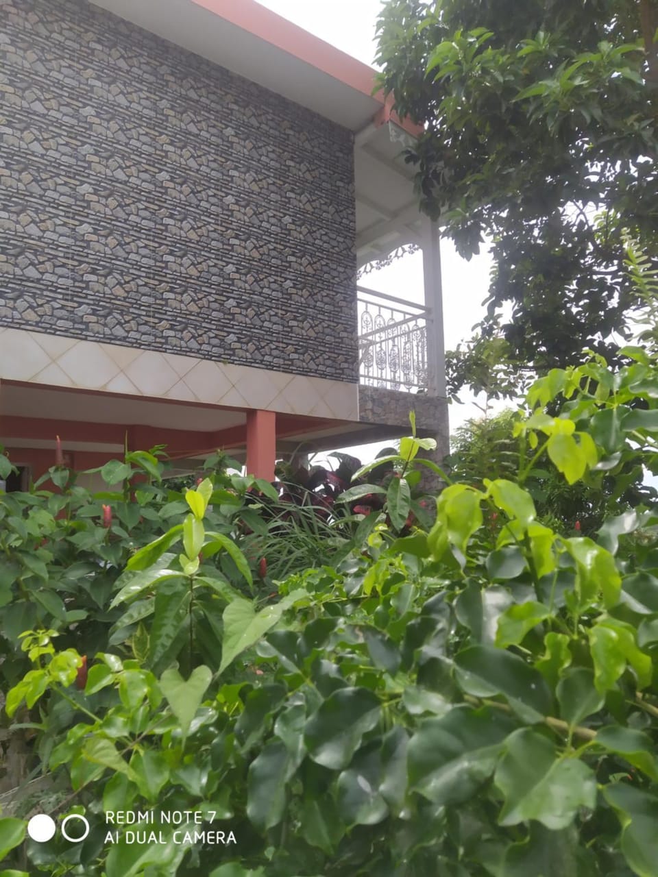 15 minutes du centre-ville Apartment in Martinique
