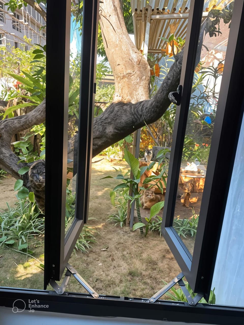 Garden view