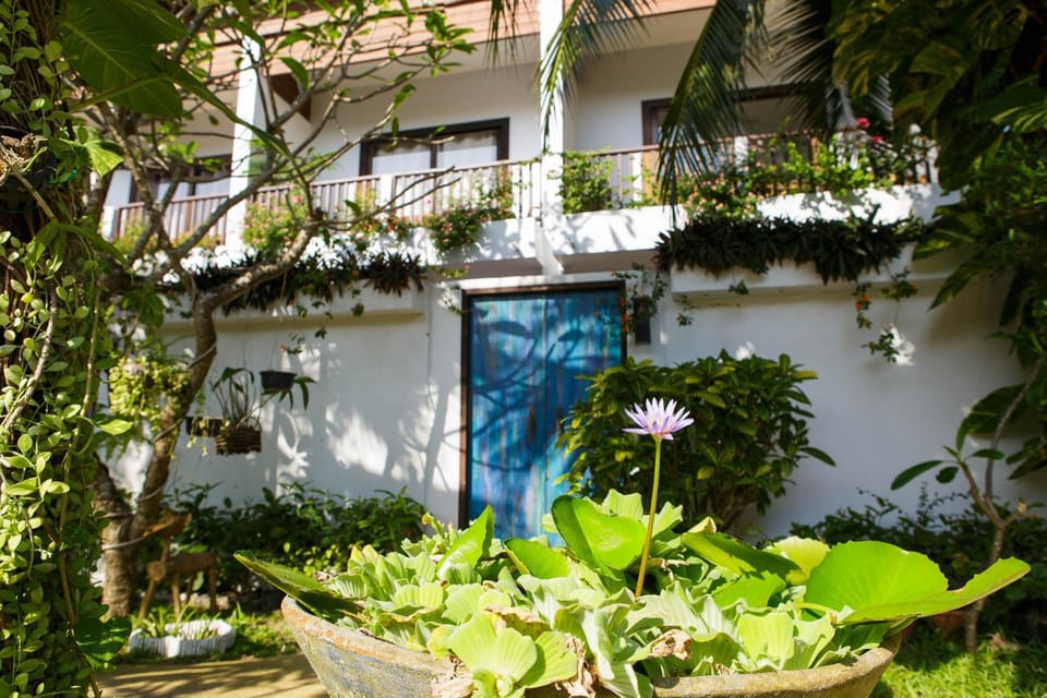Property building, Day, Garden