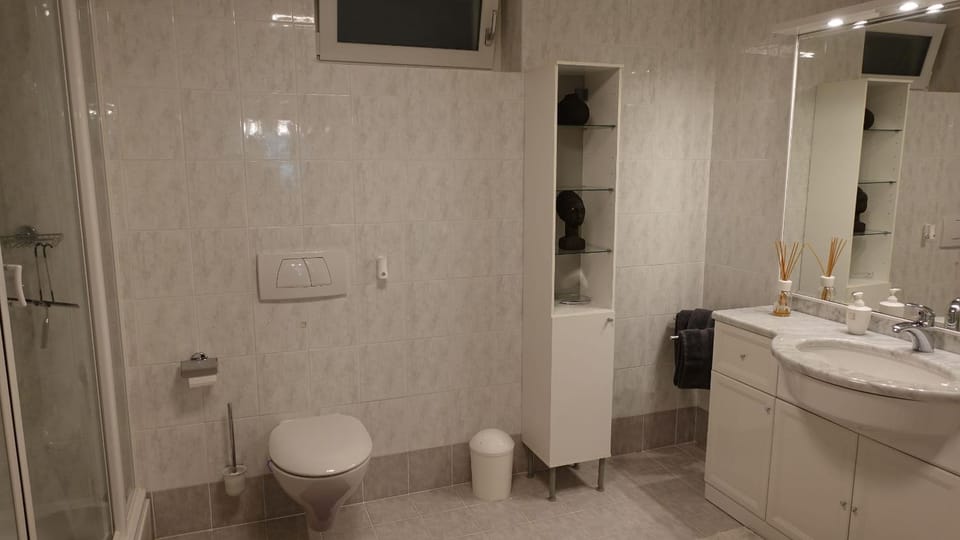Shower, Toilet, Bathroom, towels
