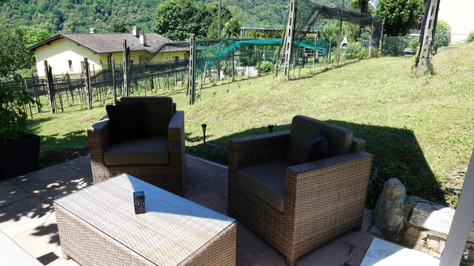 Garden, Seating area, Garden view
