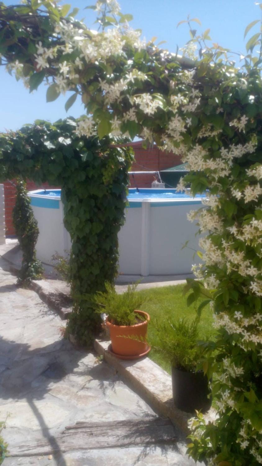 Evening entertainment, Swimming pool