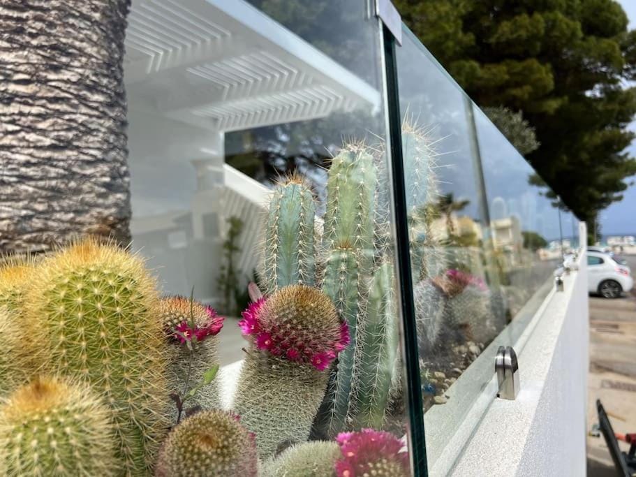 Villa Ippolita - 2 Bedrooms Apartment with Exclusive Garden Apartment in San Vito Lo Capo