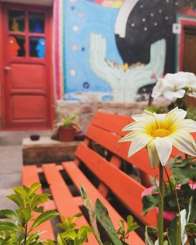 Day, Garden, Garden view