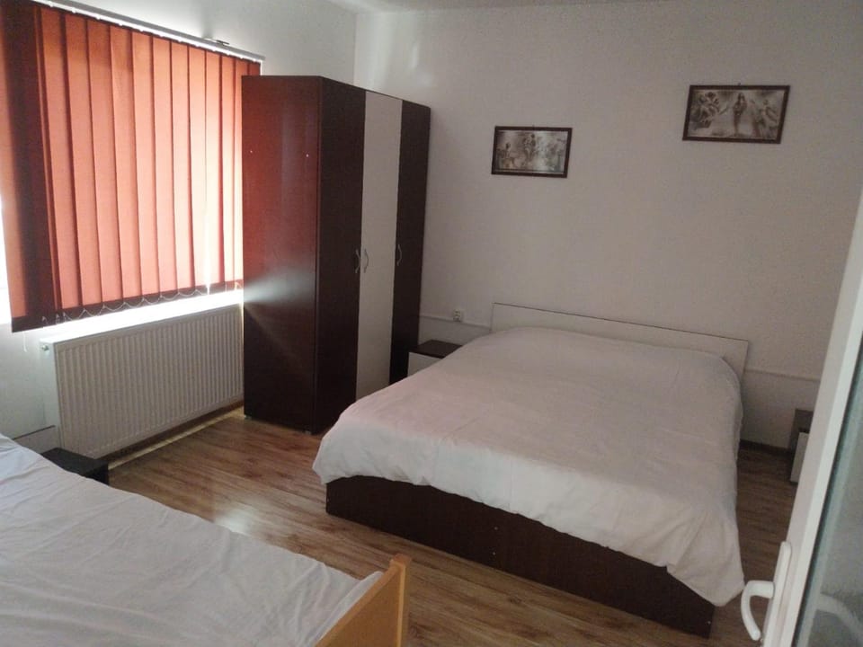 Casa de vacanță Fabian Vacation rental in Romania