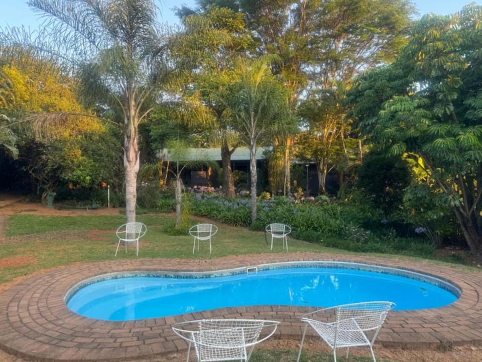Garden, Swimming pool, furniture