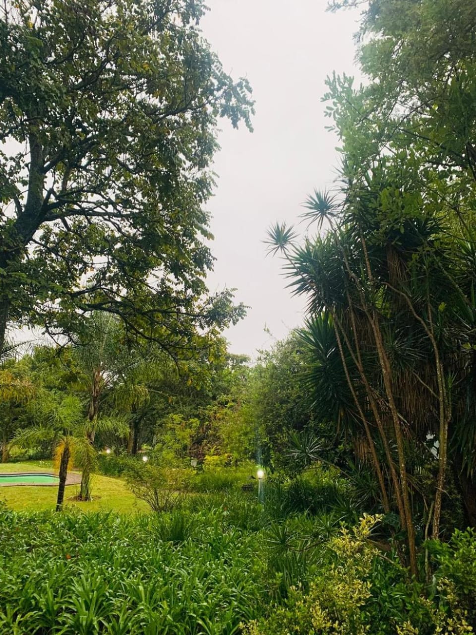 Garden, Swimming pool