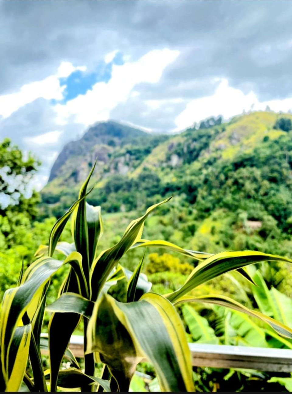 Natural landscape, Mountain view