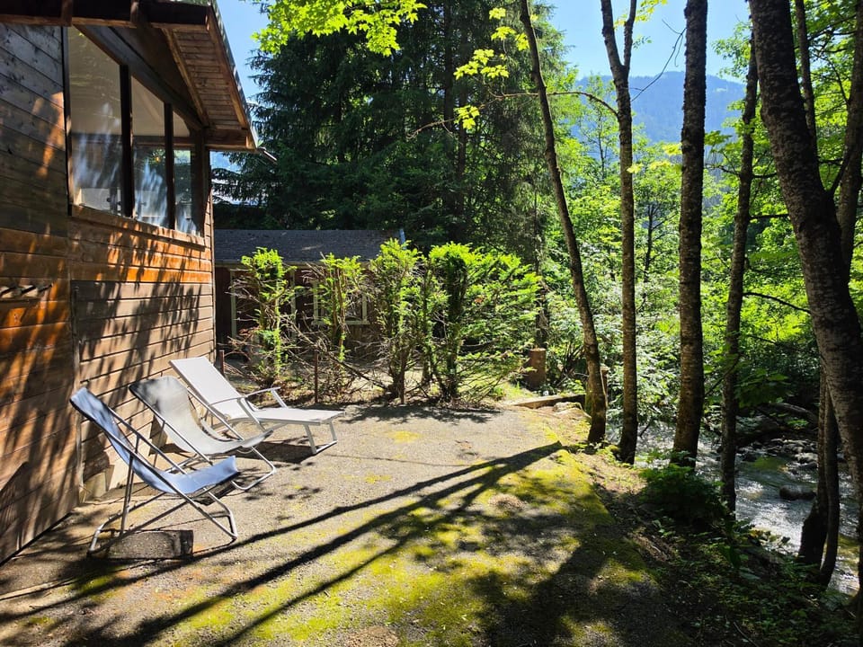 Chalet Le Saint Bernard - Sauna - Alp'in C - Châtel Chalet in Châtel