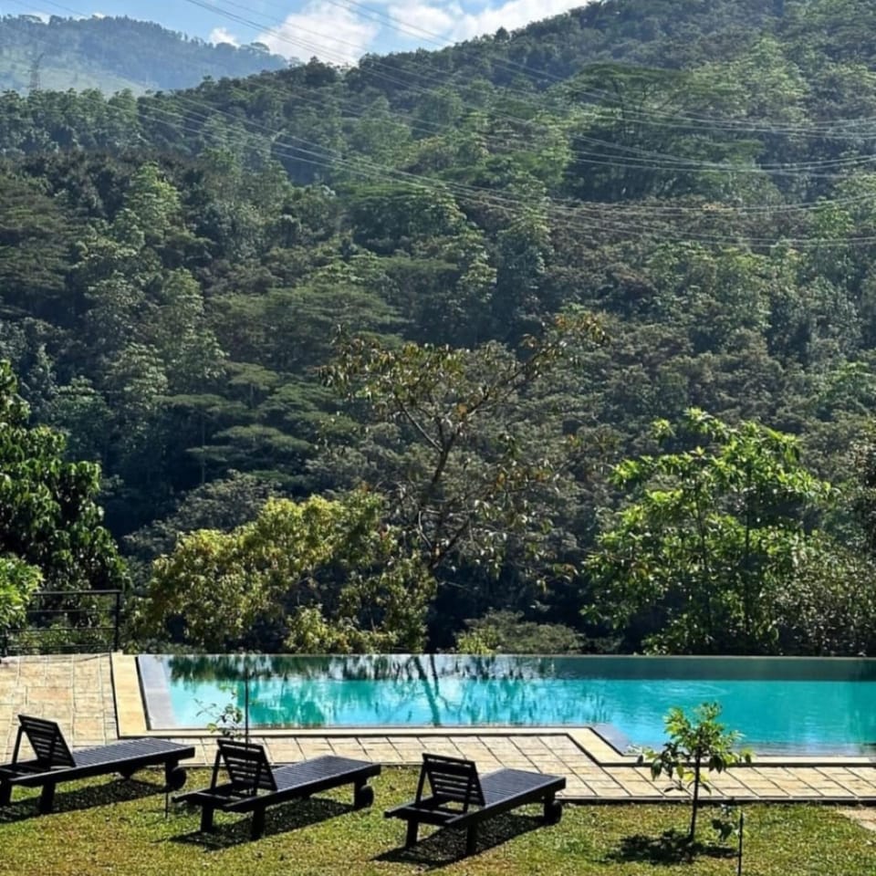 Pool view, Swimming pool, sunbed