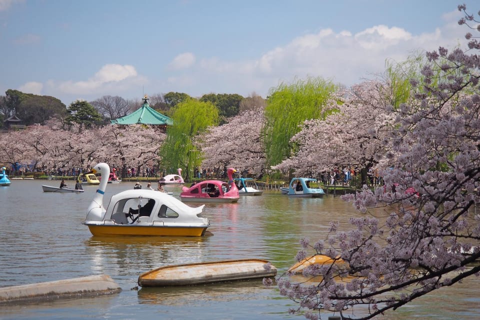 Nearby landmark, Spring