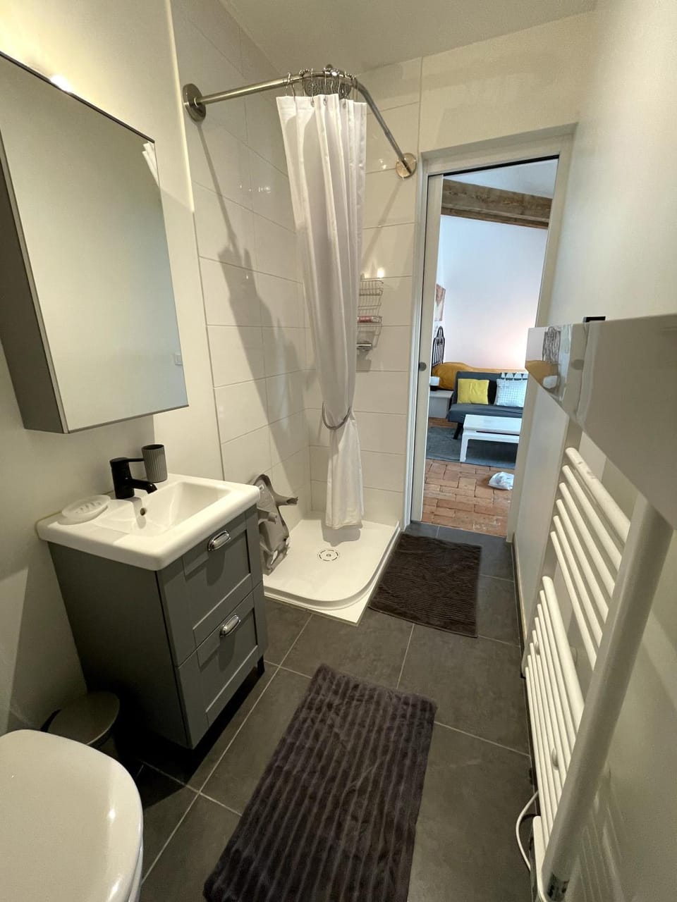 Studio Hyper-Centre Villa Isabelle Apartment in Auvergne-Rhône-Alpes